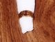Mourning ring