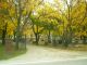 Woodlawn Cemetery