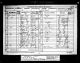 1881 Wales Census