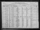 1920 United States Federal Census